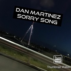 The Sorry Song