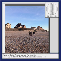 Wrong Sal's Proverbs for Paranoids - 7th January 2026