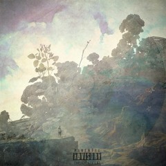 Peaceful Top (Feat. NaQ)