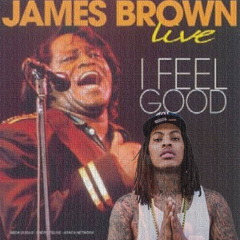 James Brown vs Waka Flocka - James Goes Hard In The Paint (Quadi's Genre Blend Teaser)