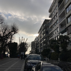 teoman-kardelen cover