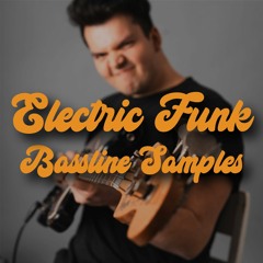 Elecric Funk Beat - Dm 2 - 120bpm