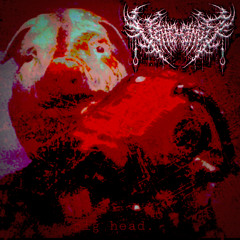 Swarm - Pighead (Vehemence Bootleg)