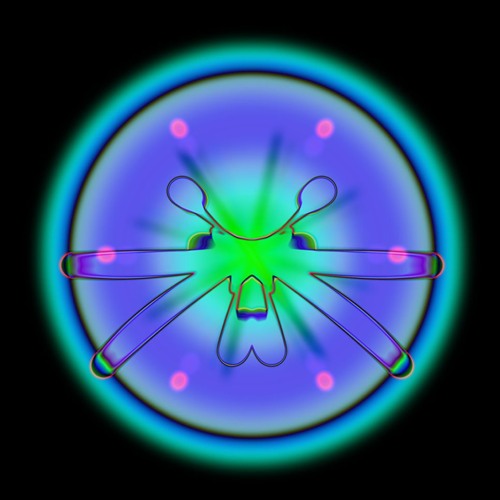 WHOMP001 : ANNX b2b Lora Mipsum