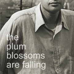 the plum blossoms are falling