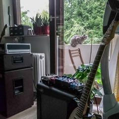 Drop D (election day)