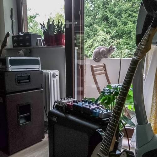 Drop D (election day)