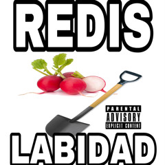 Redis labidad (feat artur)