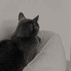 알레프 (ALEPH) - 사랑을 여읜 사람들