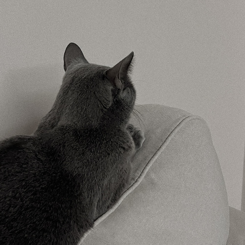 알레프 (ALEPH) - 사랑을 여읜 사람들