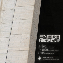 PREMIERE | Snaga - Druid [RFR006]