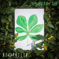 Biophilia - Chapter 18 (deep-sky objects Mix)