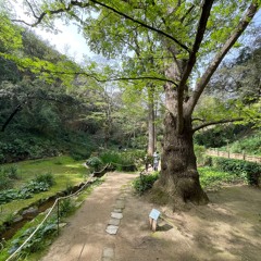 Hey Mamacita Feat: Marin Huse