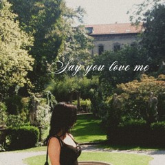 Say You Love Me