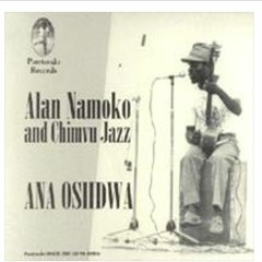 Allan Namoko and Chimvu River Jazz Band -  Pamudzi Pano