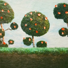 Song For The Trees