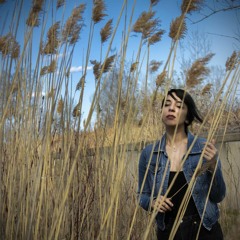 Fereydoun Farokhzad - Ma (Cover by Sara Ahmadieh)