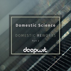 Domestic Science - Domestic Reworks, Pt. 2