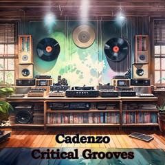 Cadenzo - Critical Grooves Volume 4
