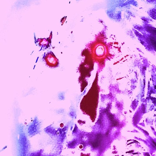 mix:6t.9::09/2023(11.9)