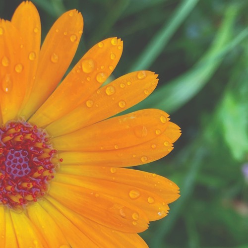 Relaxing Piano Music 🎹 It Looks Like Rain Today 🌧️ Rain Sleep Music