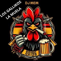 DJ MEM FIESTAS LA MUELA´25 PEÑA LOS GALLIKOS