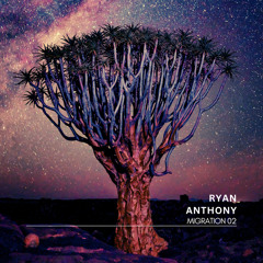 Ryan Anthony - Migration 02