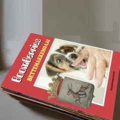 Bettemakkemoaai - BoomBerries