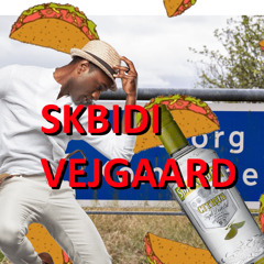 Skibidi Drukspil - Årets Drukspil 2025