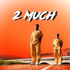 2 MUCH - Hard Techno Set (Agen)