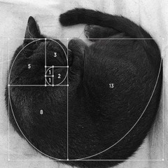 4/4_i1d6m[2024]