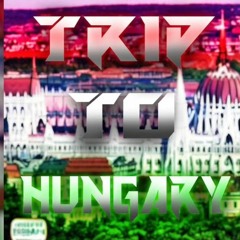 Dr. Peacock - Trip To Hungary (GD Wolf & Brainbass "Hungarian" Edit)