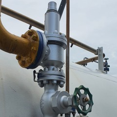 Not giving up on love