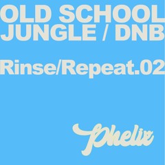 Old School Jungle & DNB: Rinse/Repeat .02 (1992 - 2012)