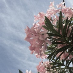 Cempasúchil - Los Choclock (Cover)