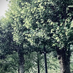Rainy Days Playlist