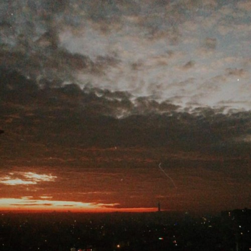 V i n g o t c u a t h a n g 5 - Mạnh