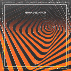 It’s You (ft. Nadia Gattas) (Extended Mix)