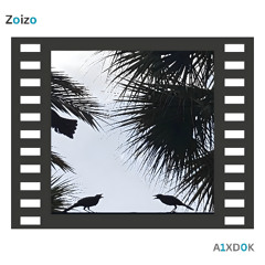Zoizo