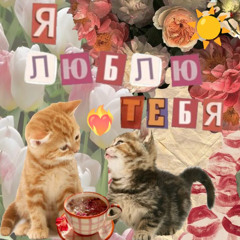 я люблю тебя