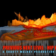 Prev. Nxt Level Hip Hop  81 Bpm (Basic) 02