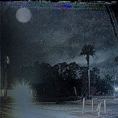 LIL WOOBAD - FORESTLEAVES [PROD ZELD4H]