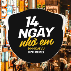 14 Ngày Nhớ Em (Remix Vinahouse)