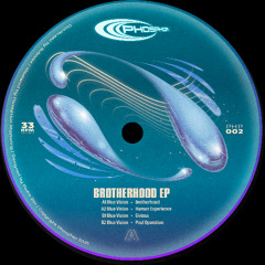 PREMIERE: Blue Vision - Human Experience [Phosphor]