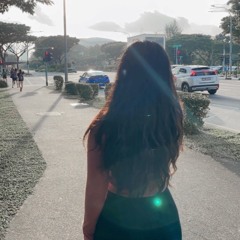 shawn mendes - stitches