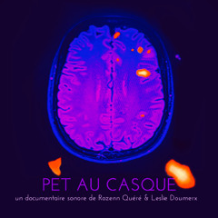 Pet au casque