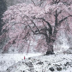 conversations (777eric)