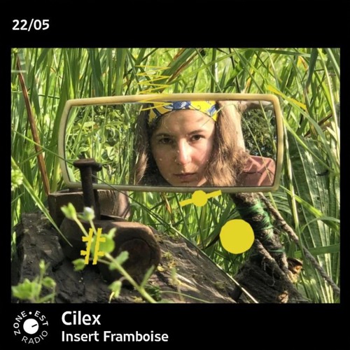 Insert framboise avec Cilex