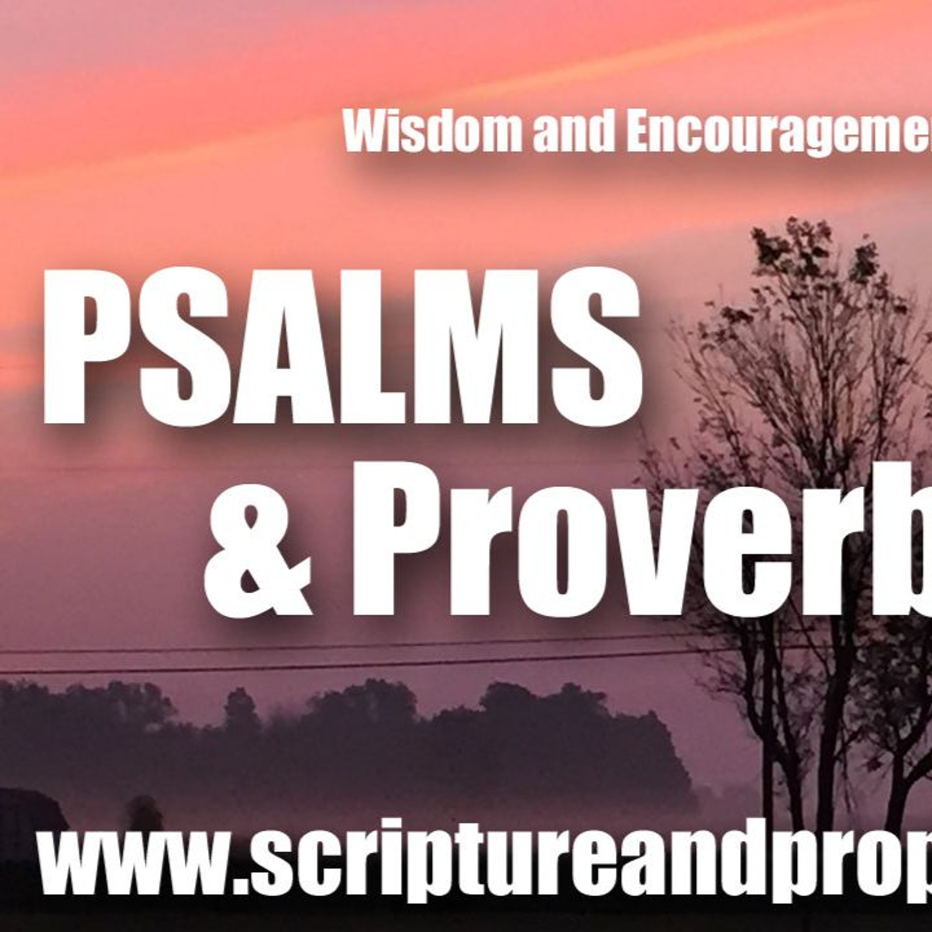 Psalm 32, Proverbs 30 & Wisdom of Solomon 1: I will confess my transgressions unto the LORD