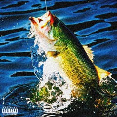 Bait p. stunnavida